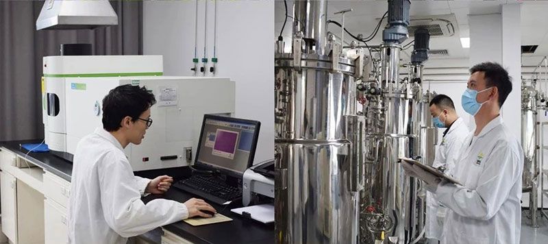 打造新朝陽生物科技“五張名片”，服務農(nóng)業(yè)高質(zhì)量發(fā)展！