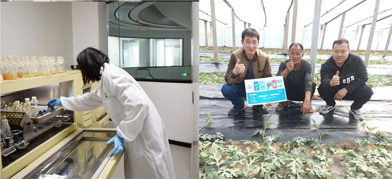 打造新朝陽生物科技“五張名片”，服務農(nóng)業(yè)高質(zhì)量發(fā)展！