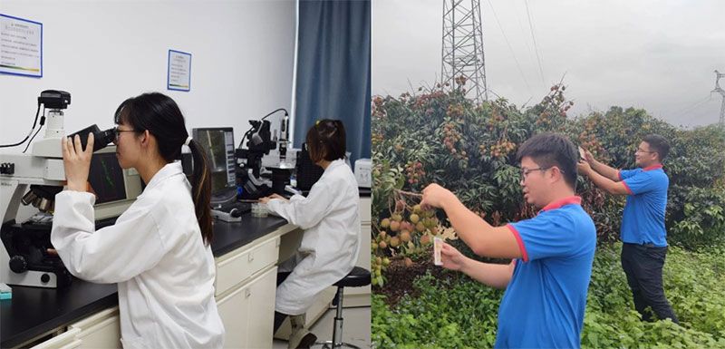 打造新朝陽生物科技“五張名片”，服務農(nóng)業(yè)高質(zhì)量發(fā)展！