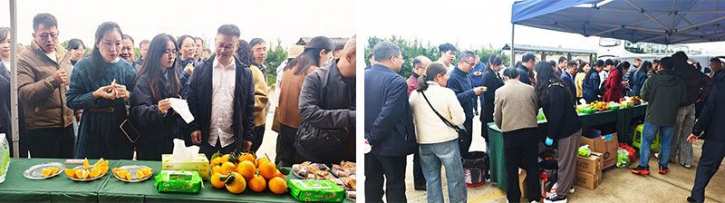 新朝陽生物技術(shù)助力綠色防控，推動柑橘產(chǎn)業(yè)綠色高質(zhì)量發(fā)展